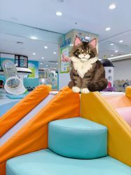 -孩子王童乐园(唐山万达广场店)