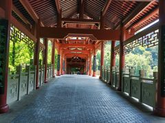 -重庆彩云湖湿地公园