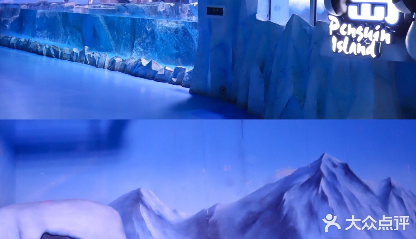 重庆周末|超🈶️feel 情侣拍照绝绝子