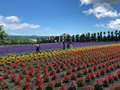 -富田农场