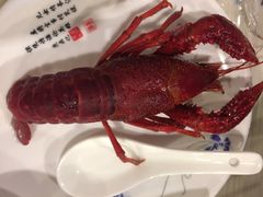 -虾弄弄海派小龙虾·牛羊蝎子火锅