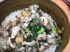 牛蛙瑶柱饭-红星光发煲仔饭(文海店)