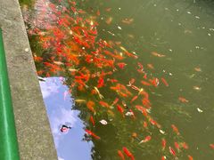 -北京上方山国家森林公园