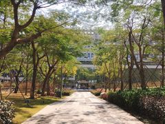 -深圳市人才园(深南大道店)