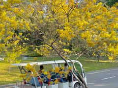 -深圳国际园林花卉博览园