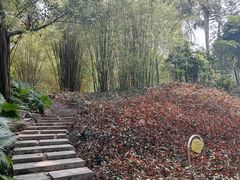 -晓港公园