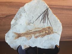 -水月·和牛工坊(水晶郦城店)