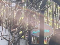 -素描餐厅(灵隐天竺店)