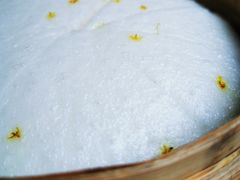 -上海老站(徐家汇店)
