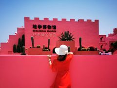 -漳州滨海火山岛自然生态风景区