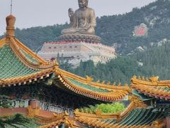 -龙口南山旅游景区