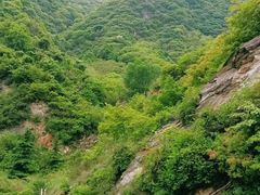 景点-黑河国家森林公园