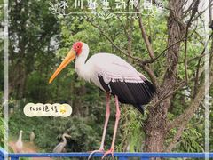 -乐和乐都主题乐园