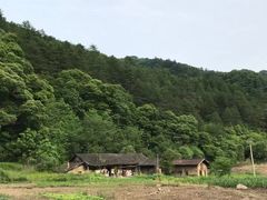 -朝阳沟