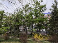 -长春市南湖公园