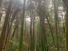 -同里国家湿地公园