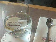 -哈根达斯(石家庄北国店)