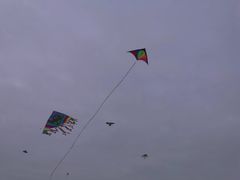 -重庆平顶山公园