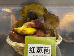 -菌海森林·非遗野生菌火锅(西山区滇池路摩根道店)