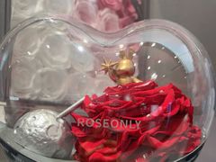-ROSEONLY诺誓(广州K11店)