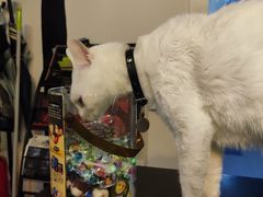 -Doors独立剧情密室(东门分店)