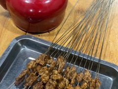 -清真·马峰烤肉(小学习北巷店)