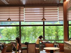 -小西家作•精致蛋糕(富力爱丁堡店)