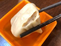 鲜肉小笼-大龙汤包