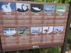 -宁波杭州湾国家湿地公园