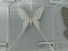-杭州西湖博物馆总馆