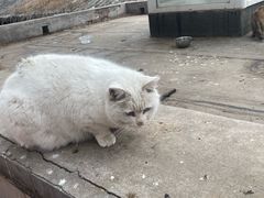 -大觉寺-停车场