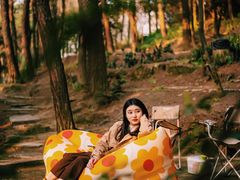 -铁山坪森林公园