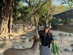-广东花都香草世界旅游度假区