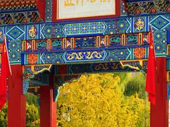 -迎泽公园