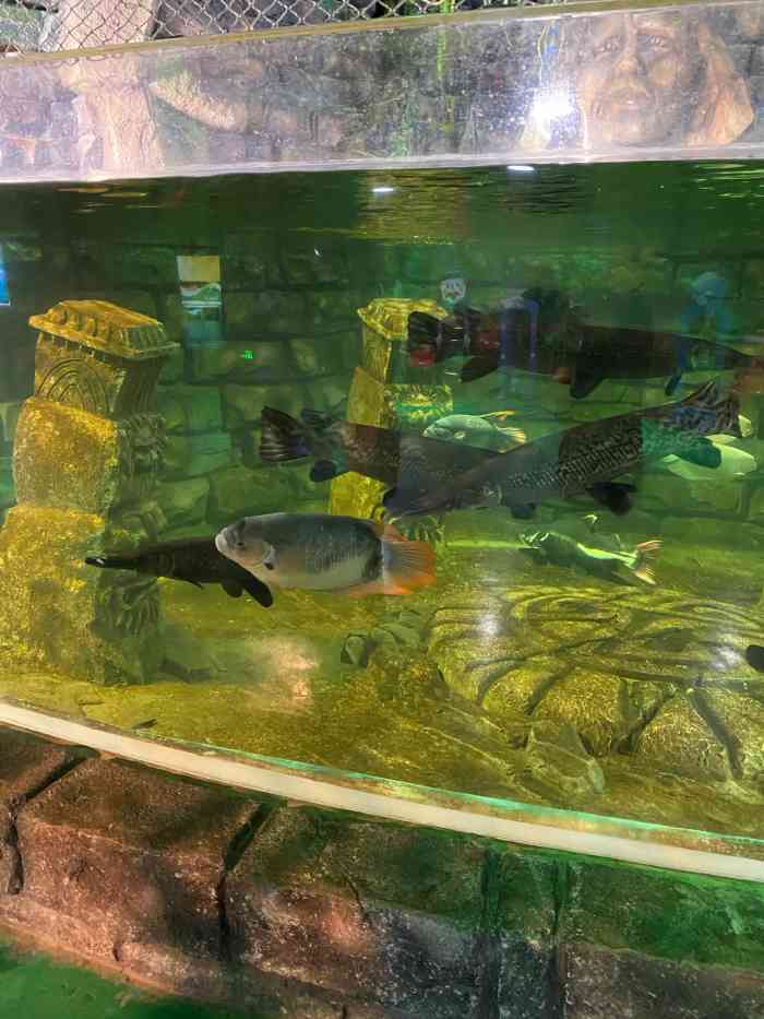 太奥幻太奇海洋馆-"定位:西安太奥广场幻太奇海洋馆周三的一.