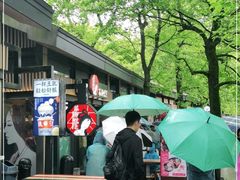 -茶颜悦色(岳麓山顶店)