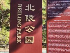 -北陵公园