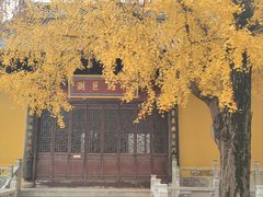 -上海青龙寺