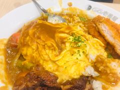 -CoCo壱番屋