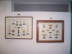 -上海昆虫博物馆