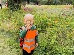 -金点蒙氏国际教育(悠然校区)