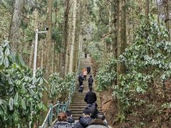 -井冈山风景名胜区