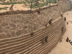 -石家庄市动物园