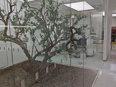 -极简口腔(总院)