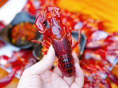-二钳洞庭虾蟹·江湖菜(成都鹭岛店)