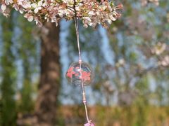 -同济大学-北苑食堂