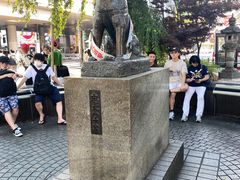 -涩谷区