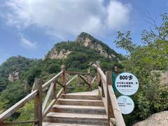 -大岭沟猕猴桃谷风景区