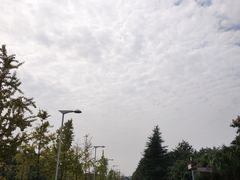 -四川大学(江安校区)