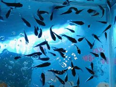 -汤连得温泉馆(宝山店)